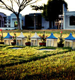 手机号呼叫轰炸app